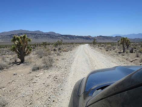 Mormon Well Road