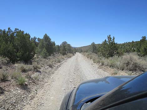 Mormon Well Road