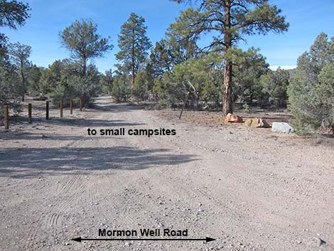 Mormon Well Road