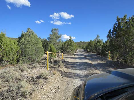 Mormon Well Road