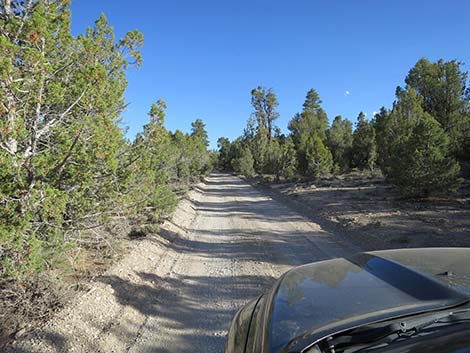 Mormon Well Road