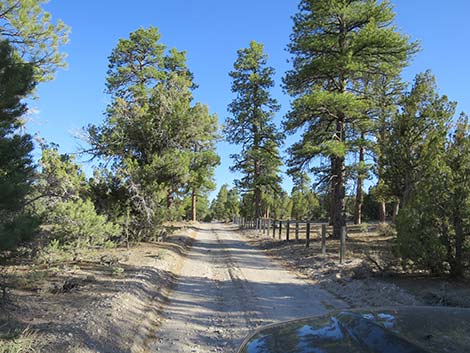 Mormon Well Road