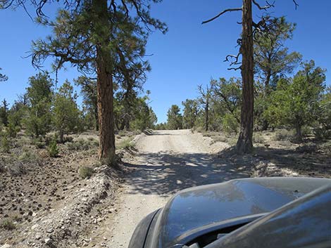 Mormon Well Road