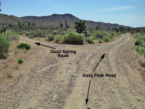 Quail Spring Road