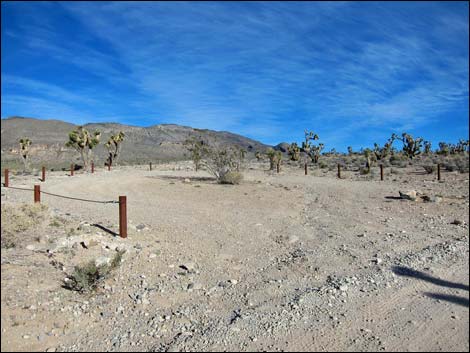 Long Canyon Trailhead