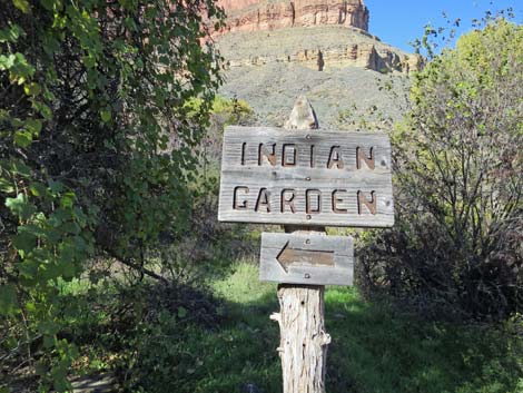 Bright Angel Trail