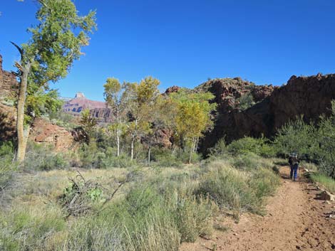 Bright Angel Trail