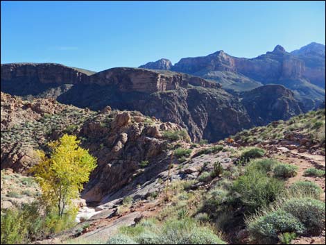 Bright Angel Trail