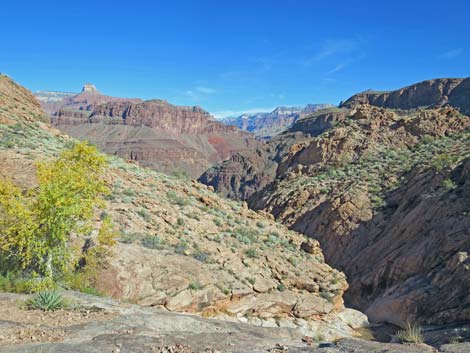 Bright Angel Trail