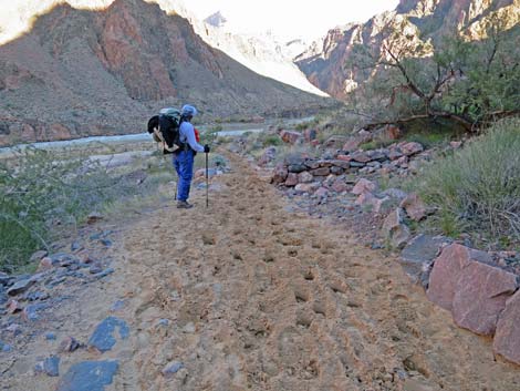 Bright Angel Trail