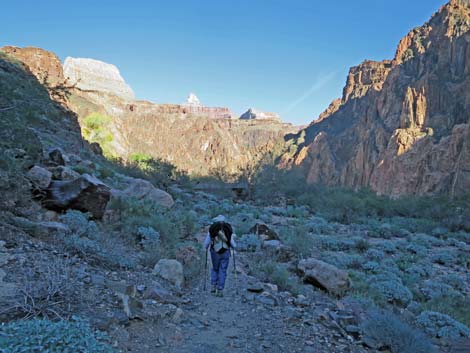 Bright Angel Trail