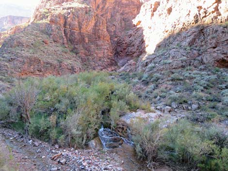 Bright Angel Trail