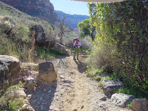 Bright Angel Trail