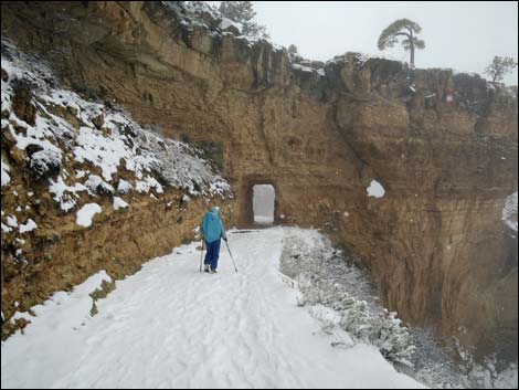 Bright Angel Trail