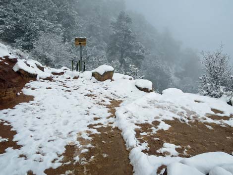 Bright Angel Trail