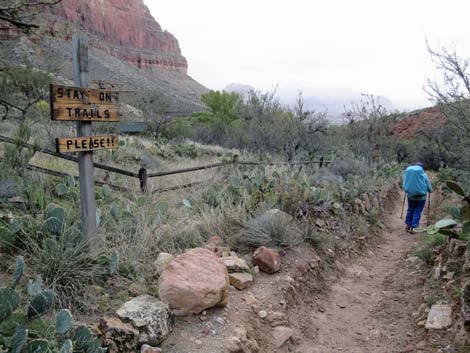 Bright Angel Trail