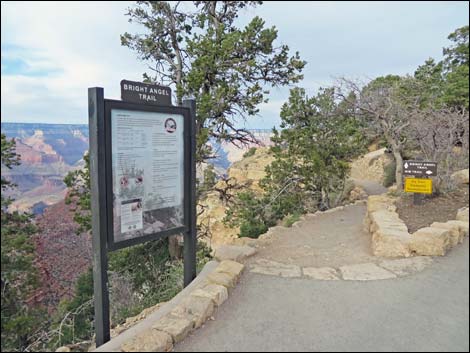 Bright Angel Trail