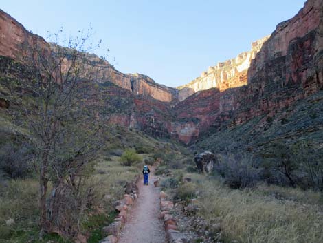 Bright Angel Trail