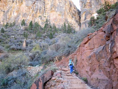 Bright Angel Trail