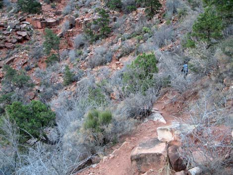 Grandview Trail