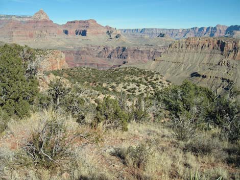 Grandview Trail