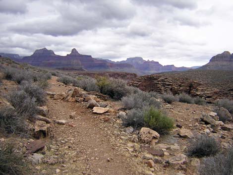 tonto west trail