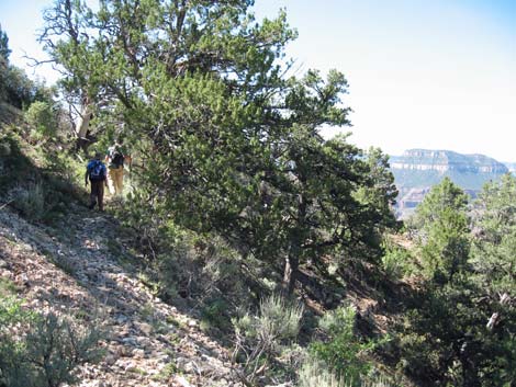 Old Cattle Trail