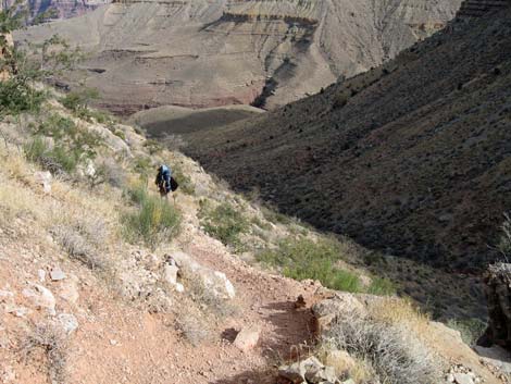 Page Spring Trail