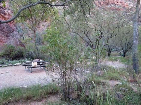 Bright Angel Trail