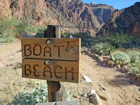 Boat Beach