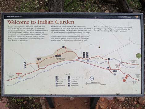 Indian Garden Campground