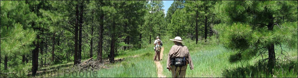 Rainbow Rim Trail