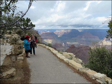 Rim Trail