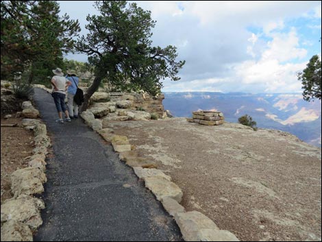 Rim Trail