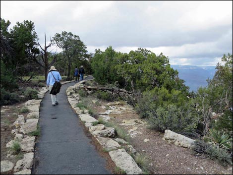 Rim Trail