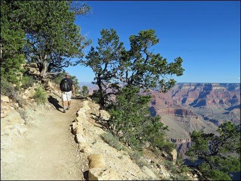 Rim Trail