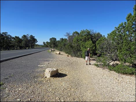 Rim Trail