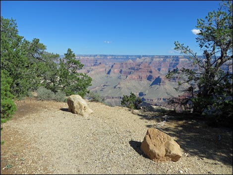 Rim Trail