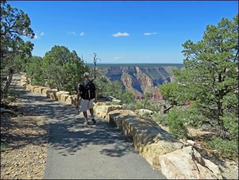 Rim Trail