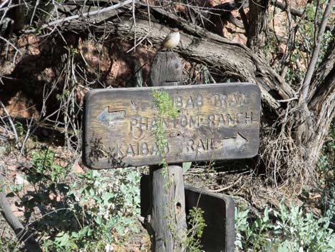 South Kaibab Trail