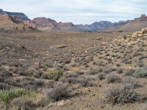 Tonto East Trail