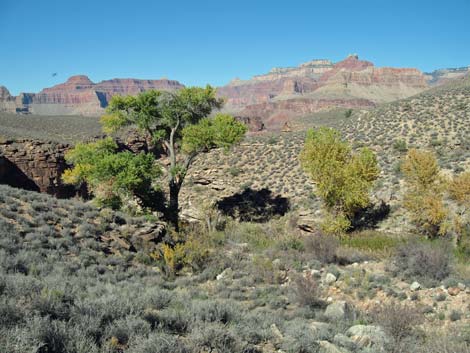 Tonto East Trail