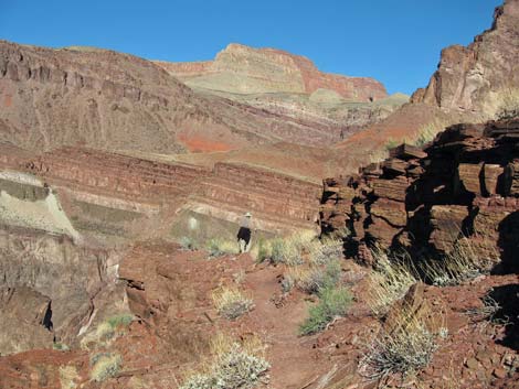 Tonto East Trail