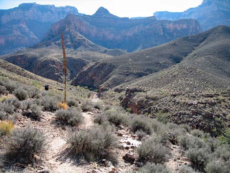 Tonto East Trail