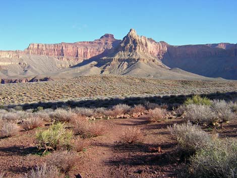 Tonto West Trail