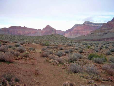 Tonto West Trail