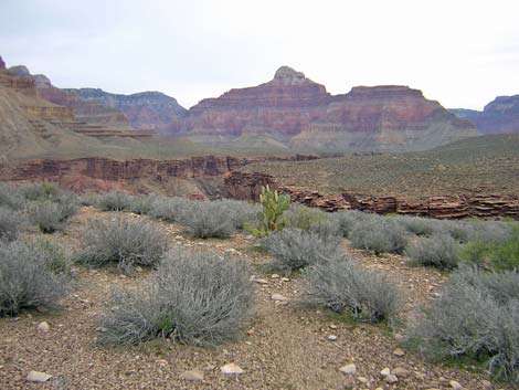 Tonto West Trail