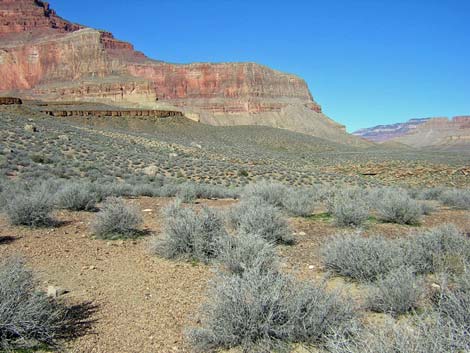 Tonto West Trail