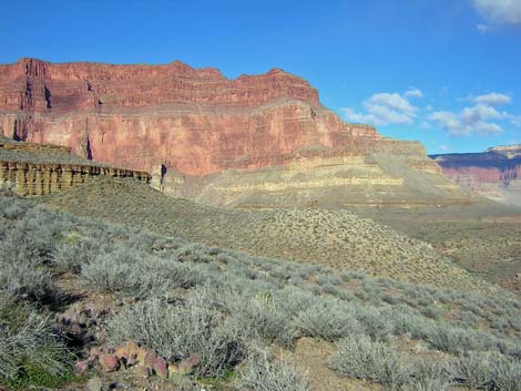 Tonto West Trail