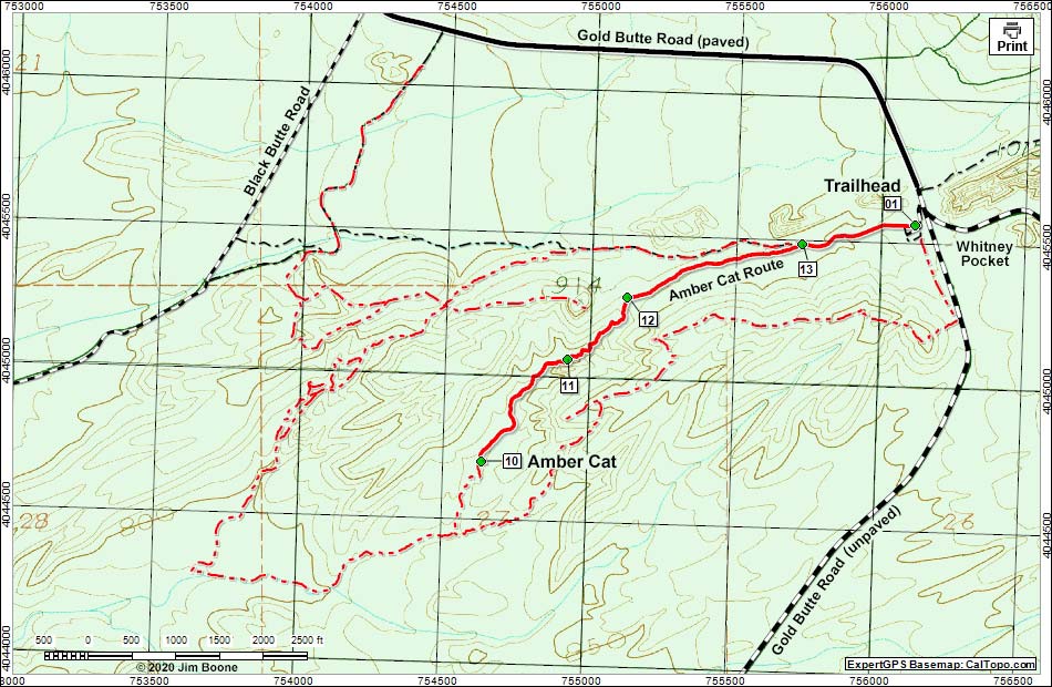 Amber Cat Route Map